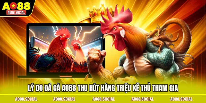ly-do-da-ga-ao88-thu-hut-hang-trieu-ke-thu-tham-gia